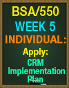 BSA/550 Week 5 Apply: CRM Implementation Plan